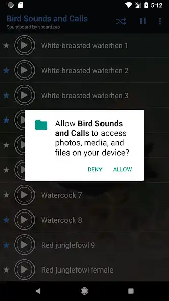 Play Bird Sounds and Calls ~ Sboard.pro and enjoy Bird Sounds and Calls ~ Sboard.pro with UptoPlay Play Bird Sounds and Calls ~ Sboard.pro and enjoy Bird Sounds and Calls ~ Sboard.pro with UptoPlay