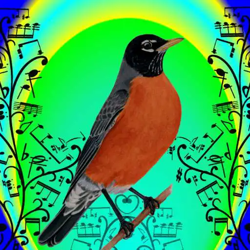 Play Bird Sounds App APK Play Bird Sounds App APK