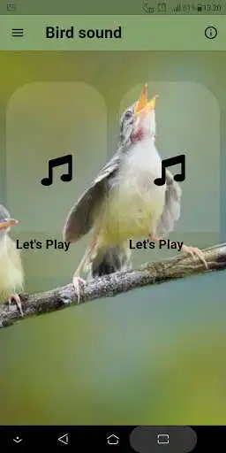 Play Bird sound  and enjoy Bird sound with UptoPlay
