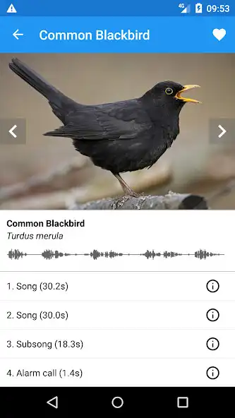 Play BirdSounds Europe  and enjoy BirdSounds Europe with UptoPlay