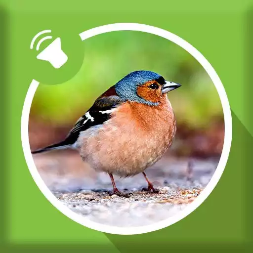 Play Bird Sounds APK Play Bird Sounds APK