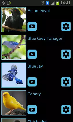 Play Bird sounds ringtones  and enjoy Bird sounds ringtones with UptoPlay