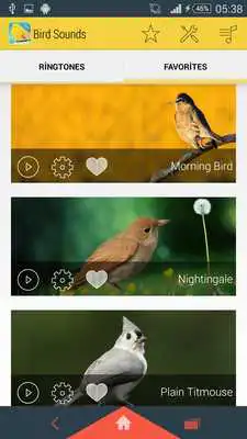 Play Bird sounds