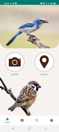 Play Bird Species Identifier  and enjoy Bird Species Identifier with UptoPlay
