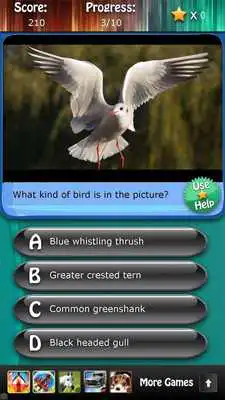 Play Bird Species Quiz HD