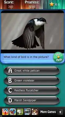 Play Bird Species Quiz HD