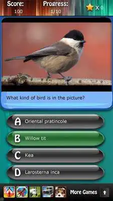 Play Bird Species Quiz HD