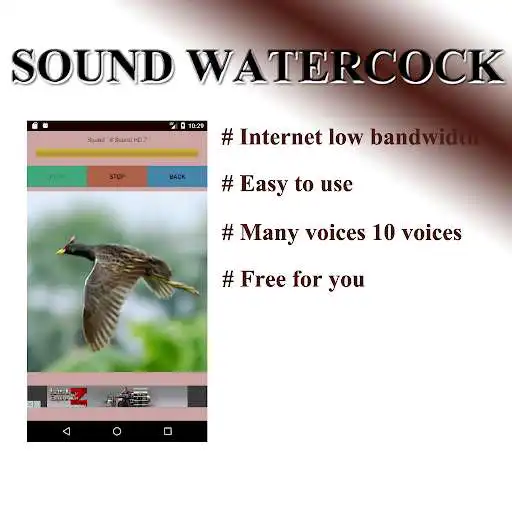 Play Birds percussion birds as an online game Birds percussion birds with UptoPlay