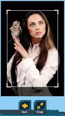 Play Birds Photo Crop