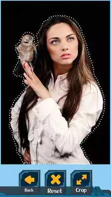 Play Birds Photo Crop