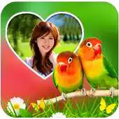 Free play online Birds photo Editor Photo Frame APK Free play online Birds photo Editor Photo Frame APK