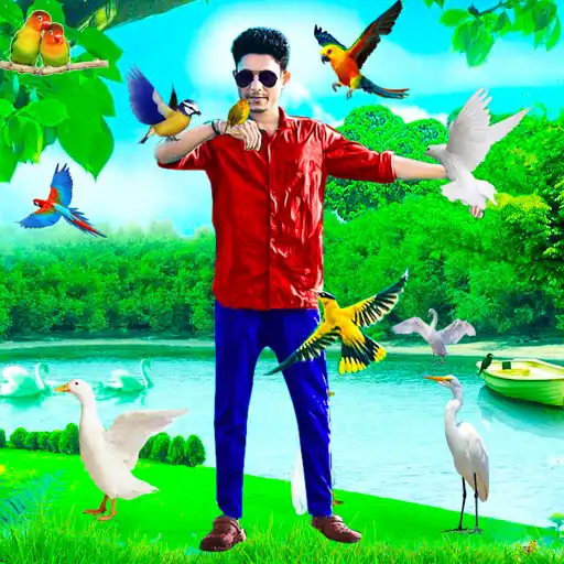 Play Birds Photo Editor- Pic Frames APK Play Birds Photo Editor- Pic Frames APK