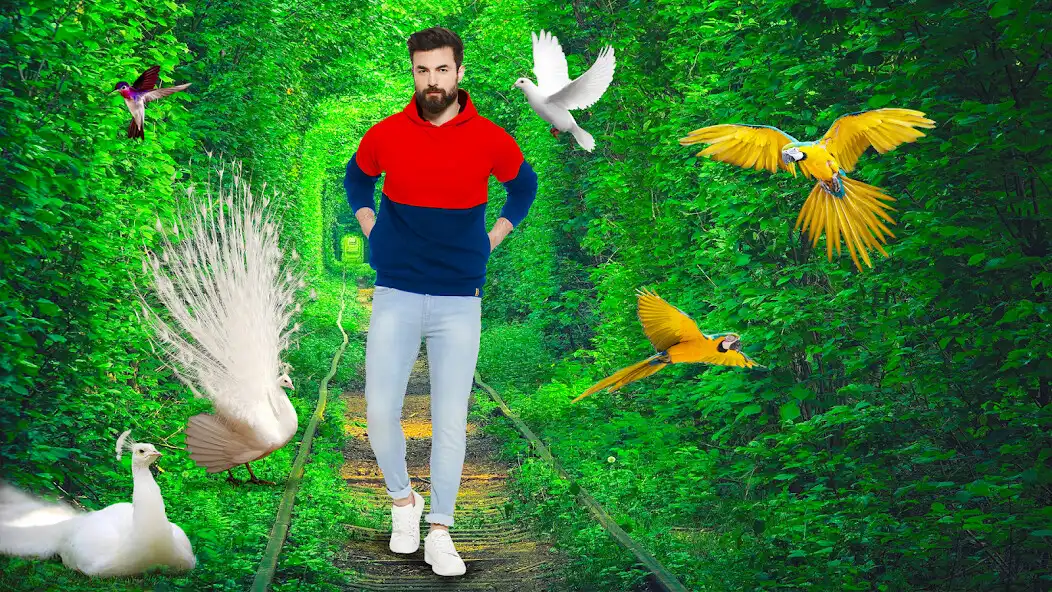 Play Birds Photo Editor- Pic Frames  and enjoy Birds Photo Editor- Pic Frames with UptoPlay