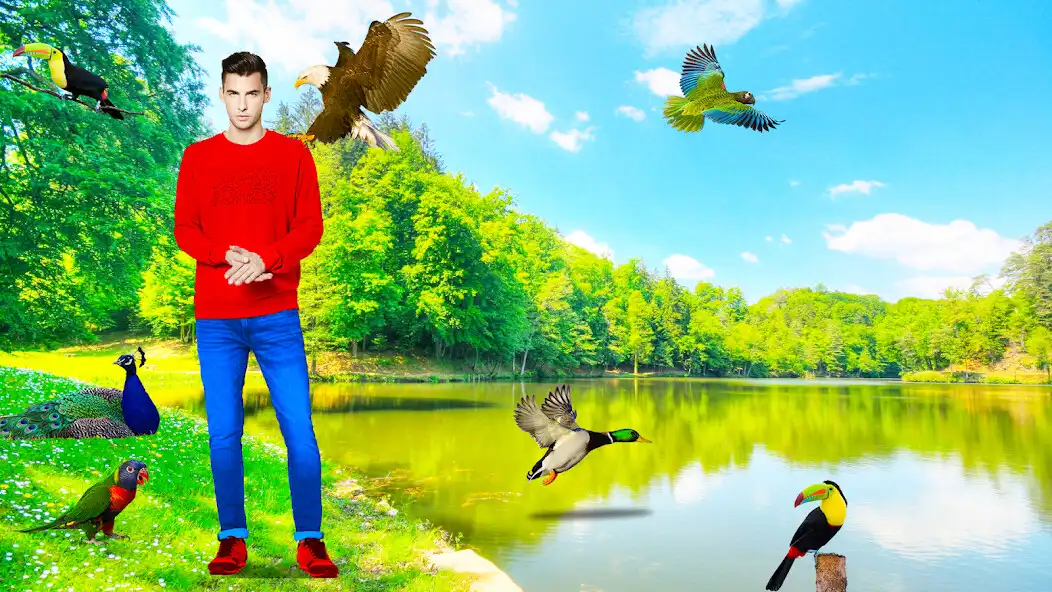 Play Birds Photo Editor- Pic Frames as an online game Birds Photo Editor- Pic Frames with UptoPlay