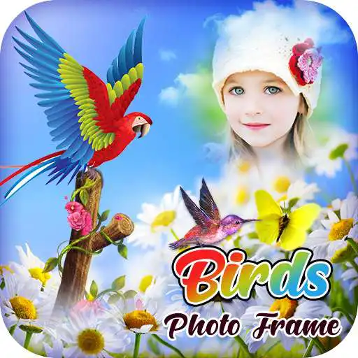 Play Birds Photo Frame APK