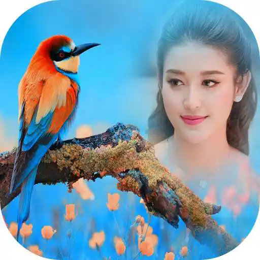 Run free android online Birds Photo Frame New APK Run free android online Birds Photo Frame New APK
