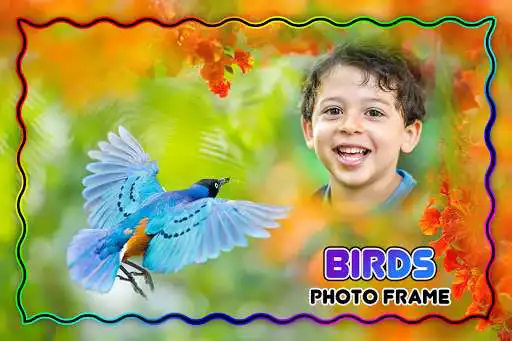 Play Birds Photo Frame  and enjoy Birds Photo Frame with UptoPlay