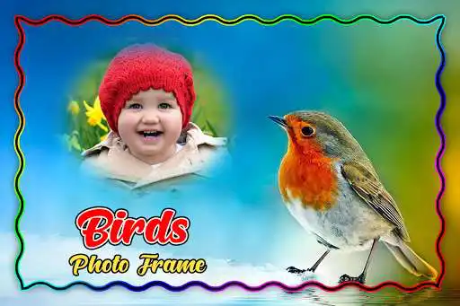 Play Birds Photo Frame as an online game Birds Photo Frame with UptoPlay