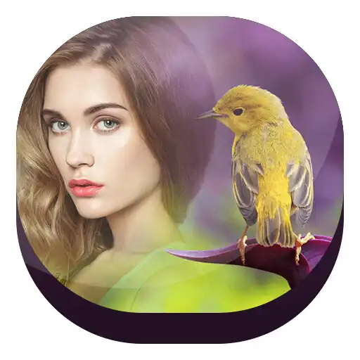 Free play online Birds Photo Frames APK Free play online Birds Photo Frames APK