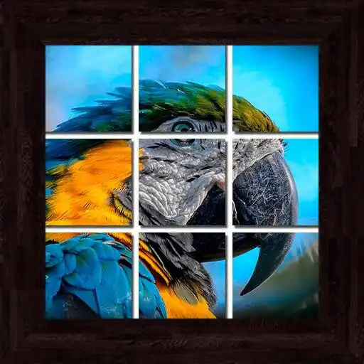 Play Birds Puzzles - 101 pictures APK Play Birds Puzzles - 101 pictures APK