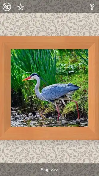 Play Birds Puzzles - 101 pictures as an online game Birds Puzzles - 101 pictures with UptoPlay