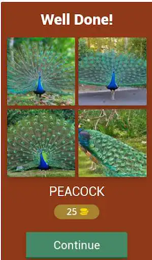 Play Birds: Quiz as an online game Birds: Quiz with UptoPlay