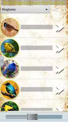 Play Birds Ringtones and Alerts Play Birds Ringtones and Alerts