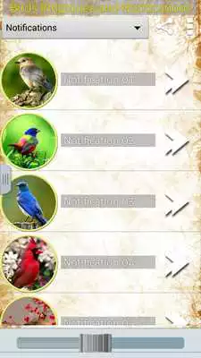 Play Birds Ringtones and Alerts Play Birds Ringtones and Alerts