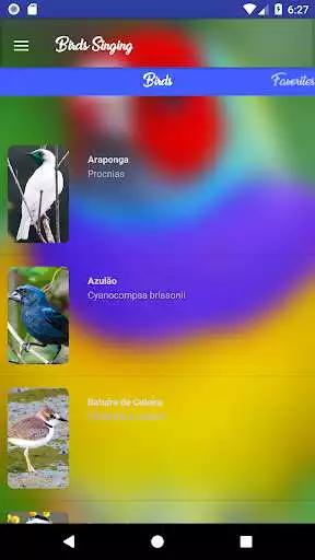 Play Birds Singing  and enjoy Birds Singing with UptoPlay