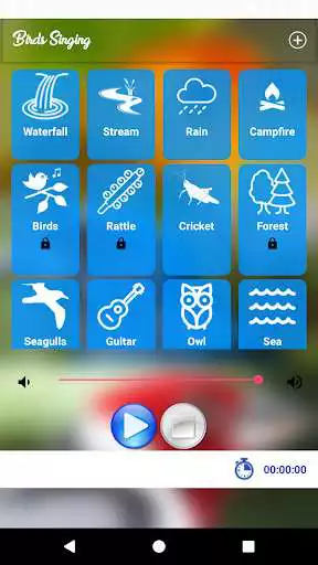 Play Birds Singing as an online game Birds Singing with UptoPlay