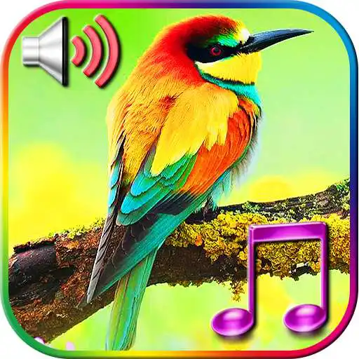 Play Birds Sound Ringtones APK Play Birds Sound Ringtones APK