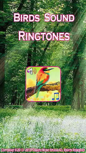 Play Birds Sound  Ringtones  and enjoy Birds Sound  Ringtones with UptoPlay