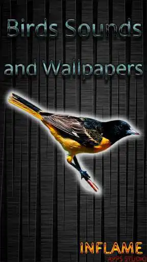 Play Birds Sounds and Wallpapers  and enjoy Birds Sounds and Wallpapers with UptoPlay