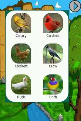 Play Birds Sounds - Feel The Nature Play Birds Sounds - Feel The Nature