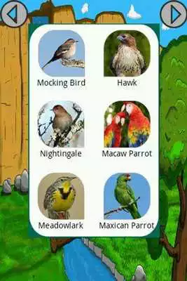 Play Birds Sounds - Feel The Nature Play Birds Sounds - Feel The Nature