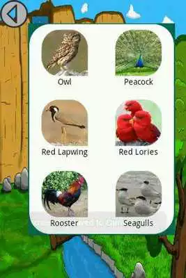 Play Birds Sounds - Feel The Nature Play Birds Sounds - Feel The Nature