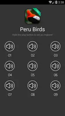 Play Birds Sounds of Peru