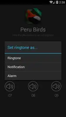 Play Birds Sounds of Peru