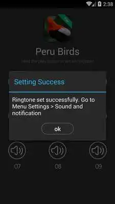 Play Birds Sounds of Peru