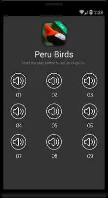 Play Birds Sounds of Peru