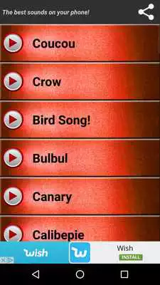 Play Birds sounds Ringtones