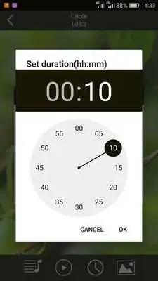 Play Birds Sounds Ringtones  Wallpapers