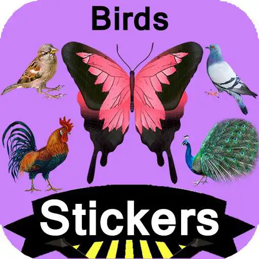 Play Birds Stickers APK