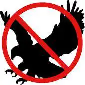 Free play online Bird Stop APK