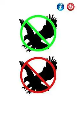 Play Bird Stop Play Bird Stop