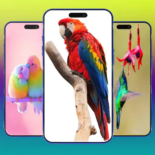 Play Birds Wallpaper latest 2023 HD APK