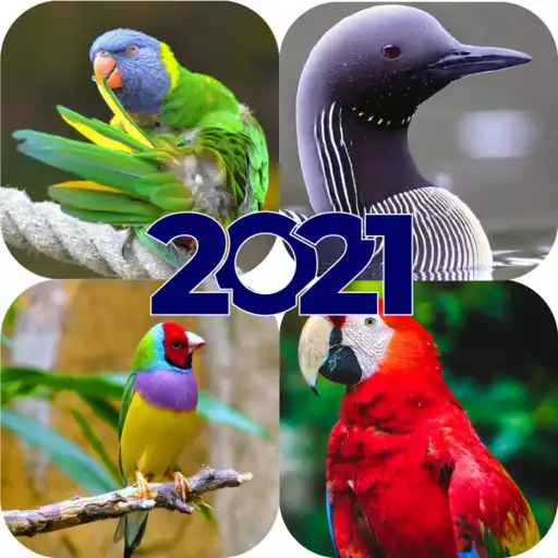 Play Birds wallpapers 2021 without Net APK