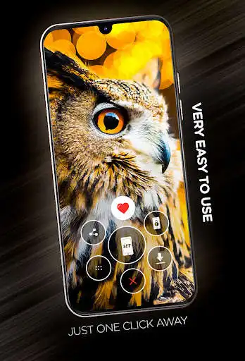 Play Birds Wallpapers in 4K as an online game Birds Wallpapers in 4K with UptoPlay