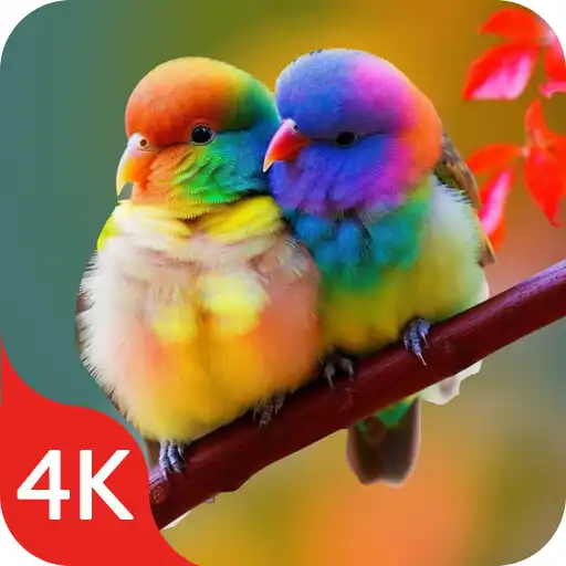 Play Birds Wallpapers Live in 4K APK Play Birds Wallpapers Live in 4K APK