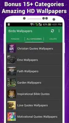 Play Birds Wallpapers